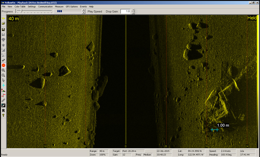 BlackFin image