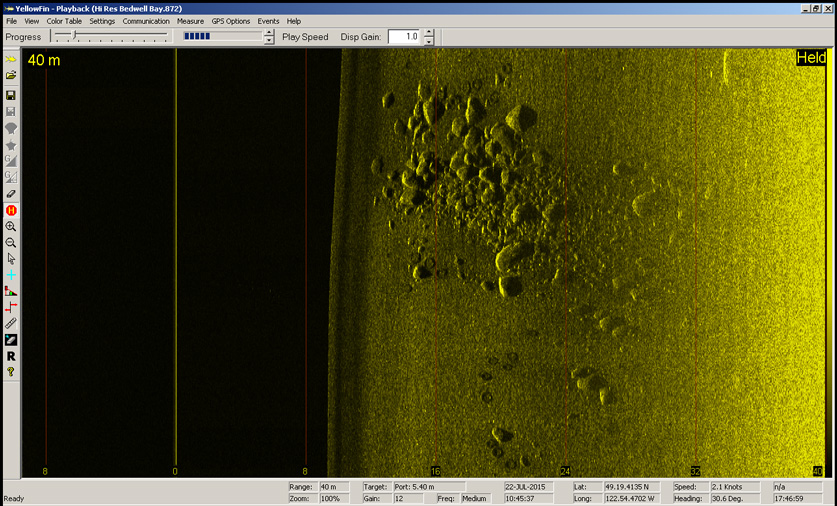 BlackFin image
