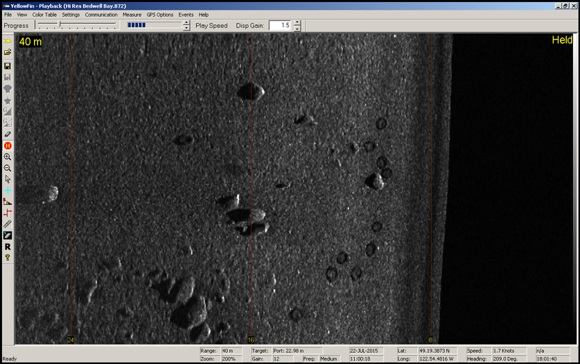 BlackFin image
